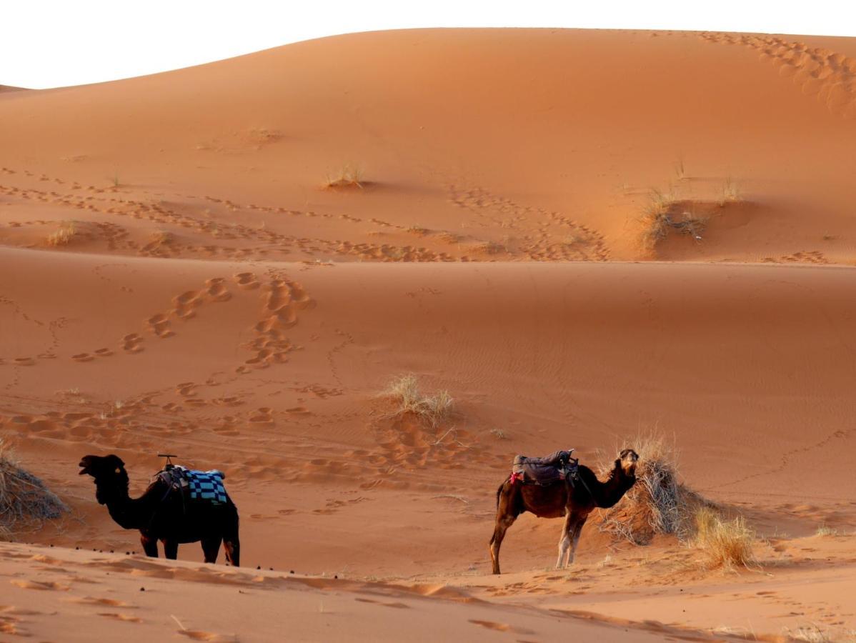 La Vallee Des Dunes - Auberge, Bivouacs Et Excursions Merzouga Eksteriør billede