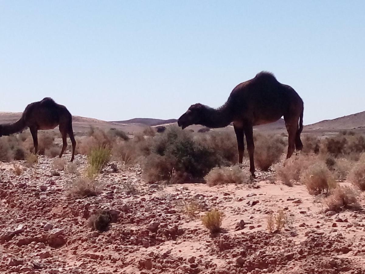 La Vallee Des Dunes - Auberge, Bivouacs Et Excursions Merzouga Eksteriør billede