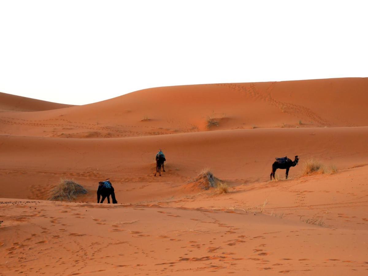 La Vallee Des Dunes - Auberge, Bivouacs Et Excursions Merzouga Eksteriør billede